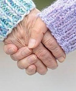 whatsapp image 2026 02 15 at 7.22.06 pm